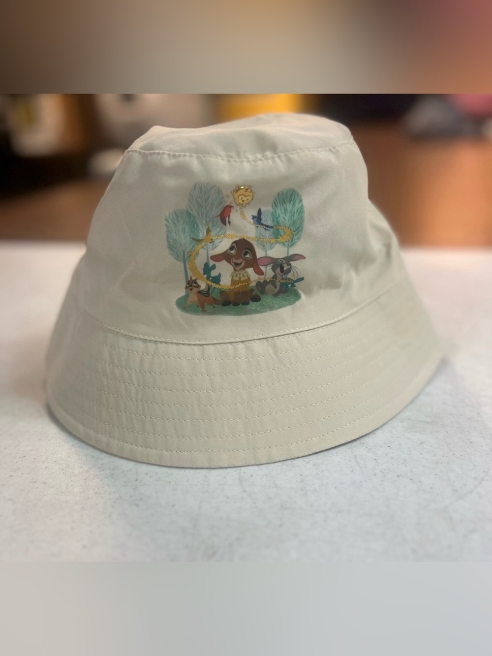 Disney Wish Bucket Hat